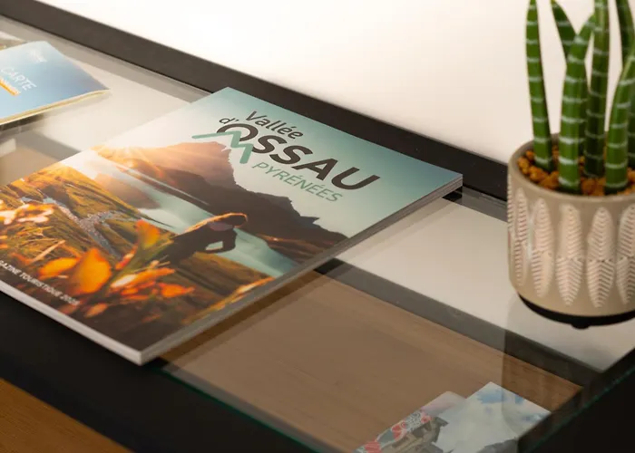 Cosy En Vallee D'ossau Izest